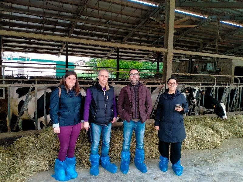 Livestaqsens sopralluogo stalle